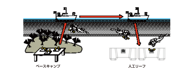 海藻カートリッジイメージ図